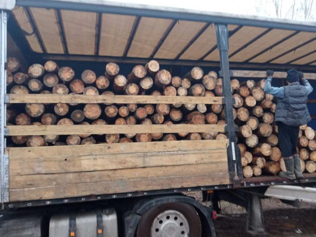 КУПИТЬ ДРОВА КИЕВСКАЯ ОБЛАСТЬ